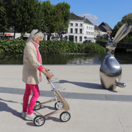 Template 260 x 260-68-Mobio ultralight persoon